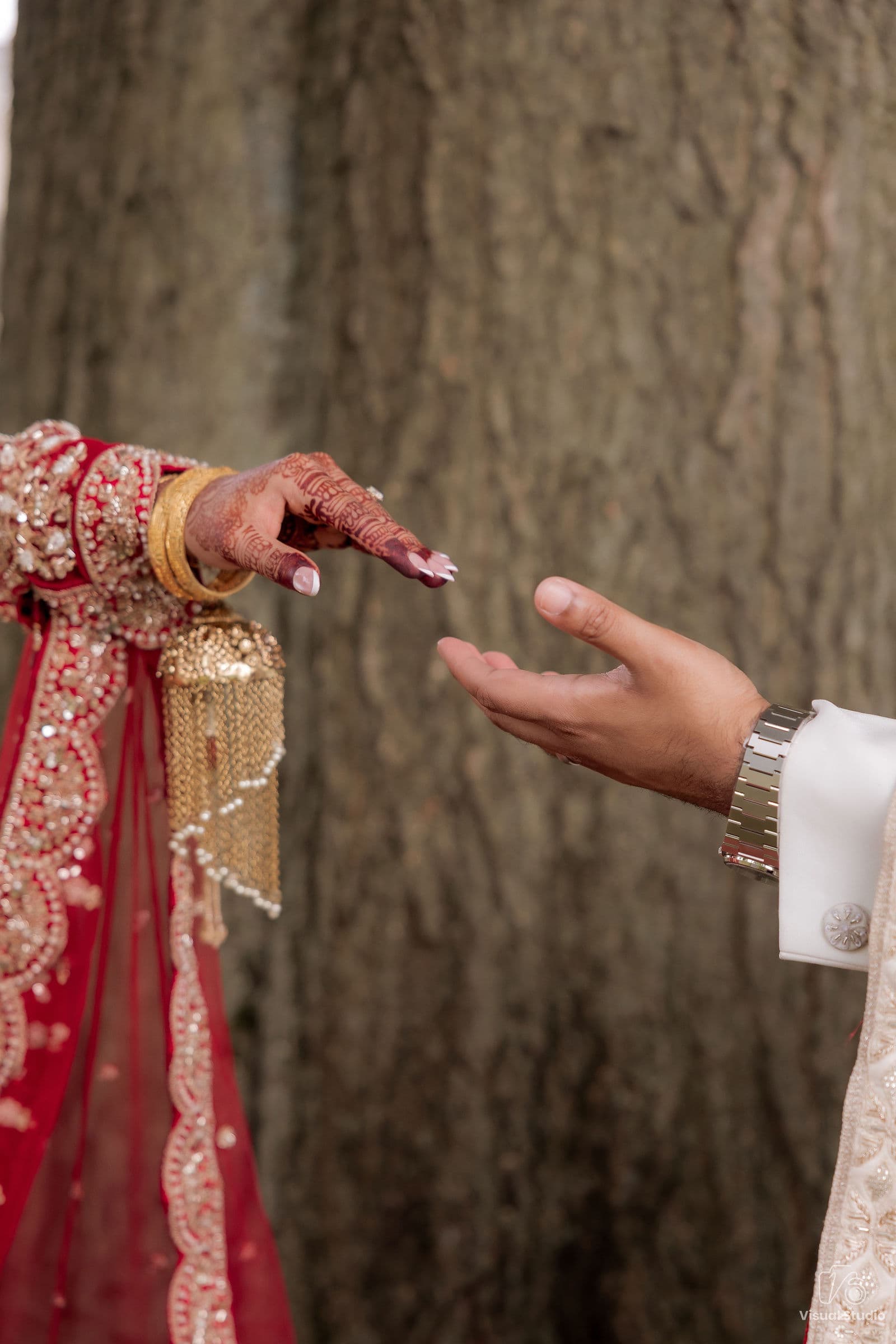 Tanweer & Nuzhat Reception, photo 42
